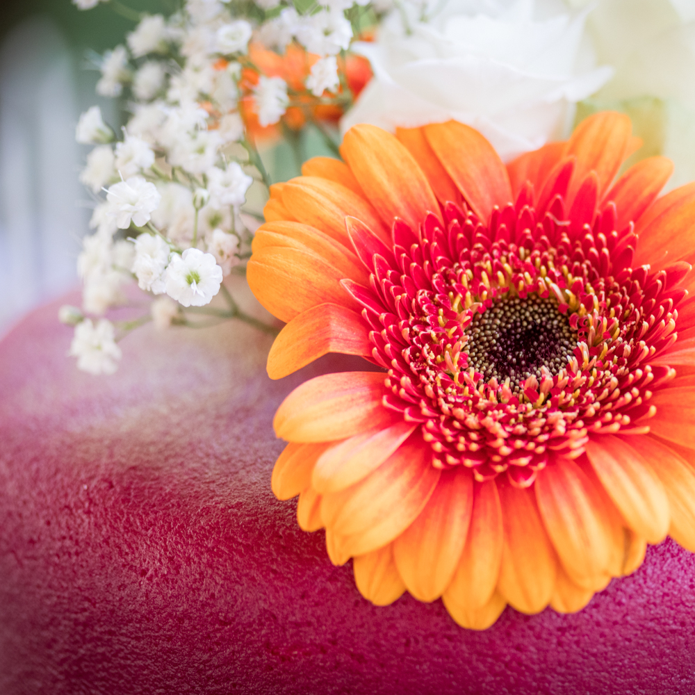 Doreen & Mathijs - beeld&meer-152